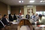 جمعیت سگ‌های ولگرد نیازمند کنترل فوری است