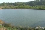 لایروبی ۲۰۰۰ هکتار از آب بندان های گیلان
