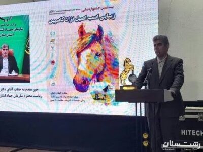 جشنواره ملی اسب نژاد کاسپین در بندر انزلی برگزار شد