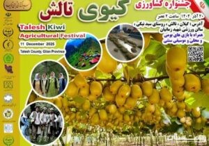 جشنواره شکرانه برداشت کیوی در تالش برگزار می‌شود