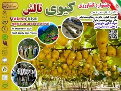 جشنواره شکرانه برداشت کیوی در تالش برگزار میشود