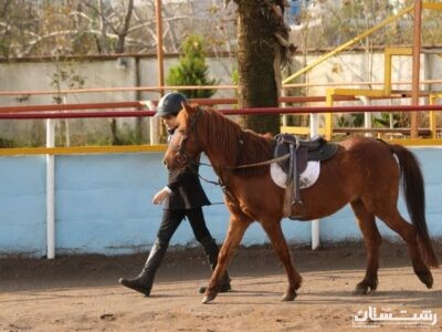 بیستمین جشنواره ملی زیبایی اسب کاسپین در منطقه آزاد انزلی برگزار شد