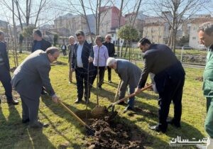 ۱۰ هزار اصله درخت بومی برای نخستین بار در سطح رشت غرس می شود