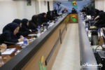 میزبانی شرکت توزیع برق از نخستین نشست مشاوران امور بانوان دستگاههای اجرایی استان