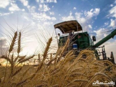 خرید تضمینی گندم در گیلان آغاز شد